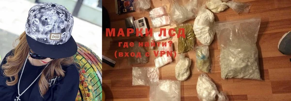 стаф Новокубанск