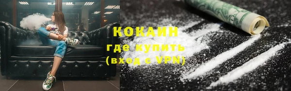 стаф Новокубанск