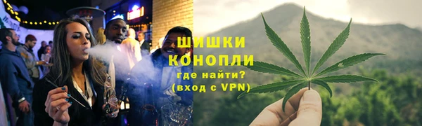 ГАЛЛЮЦИНОГЕННЫЕ ГРИБЫ Вяземский