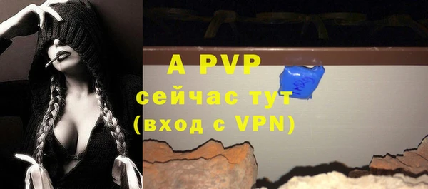 стаф Новокубанск