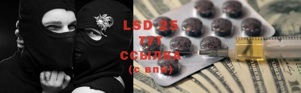 дживик Новозыбков