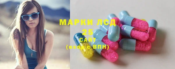 стаф Новокубанск