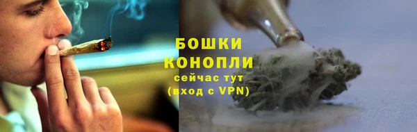 стаф Новокубанск