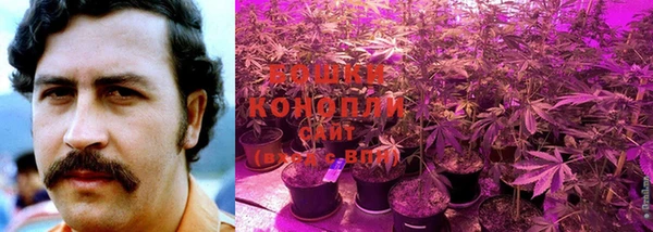 дживик Новозыбков