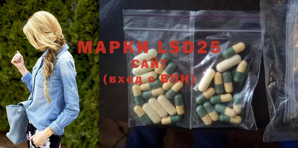 дживик Новозыбков