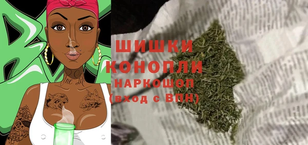 дживик Новозыбков