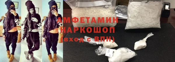 стаф Новокубанск