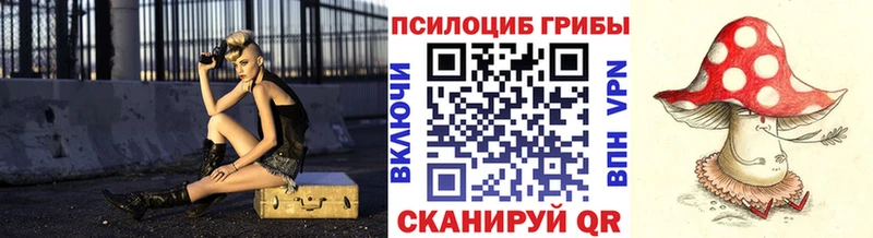 где можно купить   Александровск  Галлюциногенные грибы Magic Shrooms 
